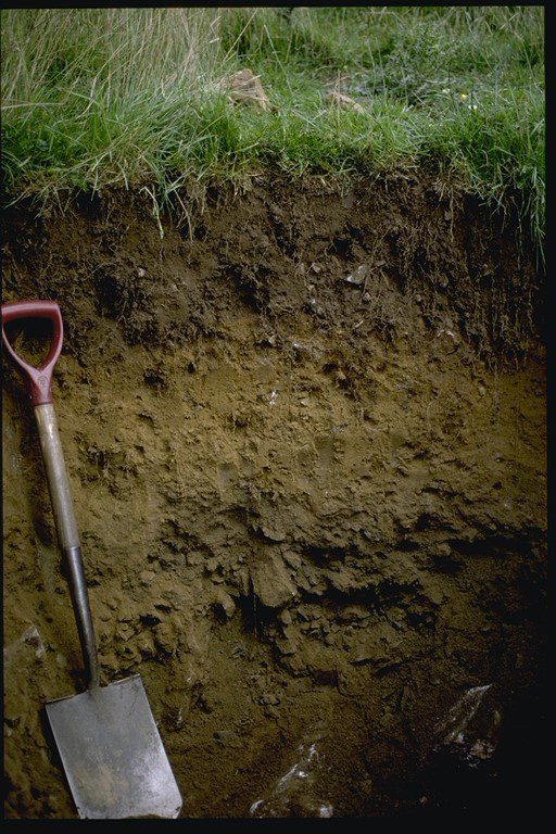 Topsoil organic matter comparison tool | ClimateXChange