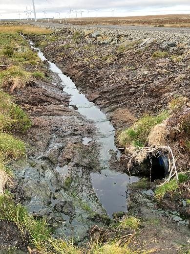 A stream of water in a field

Description automatically generated