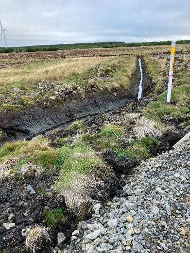 A stream running through a field

Description automatically generated