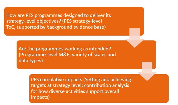 The existing Theory of Change diagram for the PES, from the original PES document. It is a series of boxes, broken down into categories, which feed upwards from bottom to top: "Indicative actions" support "Outcomes," which support "Impacts," which support the overall "Vision."
