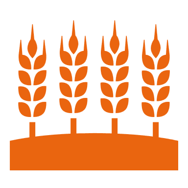 Crops with solid fill