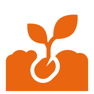 Sprouting Seed with solid fill
