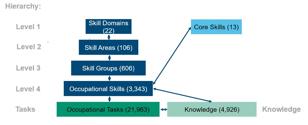 Hierarchy diagram showing four levels of skills: 22 Skill Domains, 106 Skill Areas, 606 Skill Groups and 3,343 Occupational Skills. Occupational Skills link to 21,963 Occupational Tasks and 4,926 Knowledge areas, with 13 Core Skills also linked to Occupational Skills.