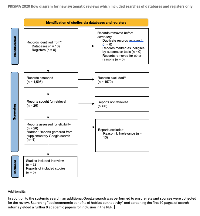 PRISMA 2020 flow diagram showing that 1,596 records were screened, 26 reports were assessed for eligibility, nine additional reports were identified through a supplementary Google search, 13 reports were excluded as irrelevant, and 22 studies were included in the review.
