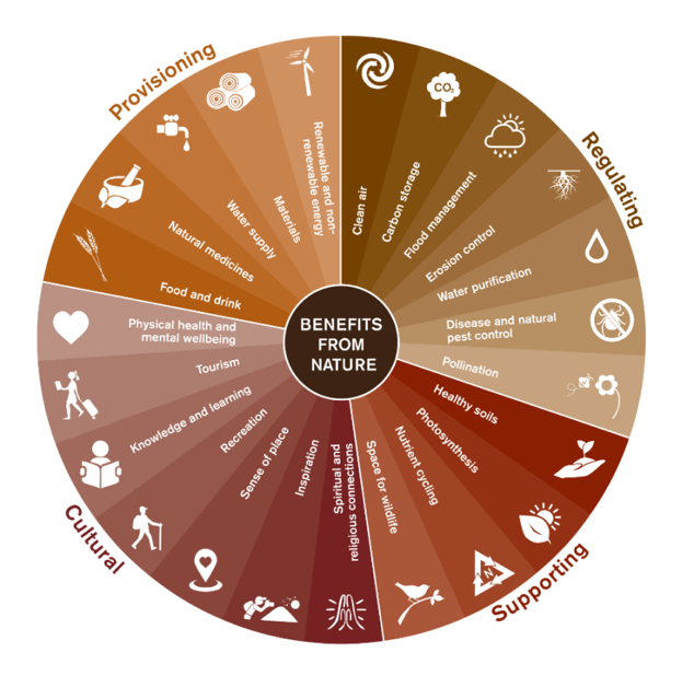 This wheel depicts Benefits from nature', which is stated in a small circle at the centre of the wheel. The rest of the circle is split into four uneven section, which themselves have sub sections as spokes, as follows:
Section: Regulating
Sub-sections: Clean air, carbon storage, flood management, erosion control, water purification, disease and natural pest control, pollination.
Section: Supporting
Sub-sections: Healthy soils, photosynthesis, nutrient cycling, space for wildlife.
Section: Cultural
Sub-sections: Physical health and mental wellbeing, tourism, knowledge and learning, recreation, sense of place, inspiration, spiritual and religious connections.
Section: Provisioning.
Sub-sections: Food and drink, natural medicines, water supply, materials, renewable and non-renewable energy.