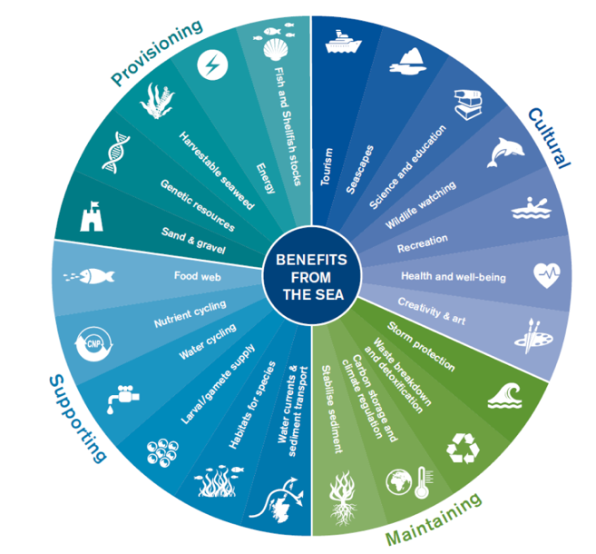 This wheel depicts Benefits from the sea', which is stated in a small circle at the centre of the wheel. The rest of the circle is split into four uneven section, which themselves have sub sections as spokes, as follows:
Section: Cultural
Sub-sections: Tourism, seascapes, science and education, wildlife watching, recreation, health and wellbeing, creativity and art.
Section: Maintaining.
Subsections: Storm protection, waste breakdown and detoxification, carbon storage and climate regulation, stabilise sediment.
Section: Supporting
Sub-sections: Food web, nutrient cycling, water cycling, larval/ gamete supply, habitats for species, water currents and sediment transport.
Section: Provisioning
Sub-sections: Sand and gravel, genetic resources, harvestable seaweed, energy, fish and shellfish stocks.