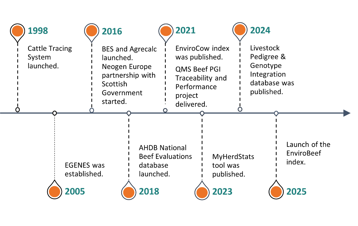 Timeline of livestock data and traceability milestones: 1998 Cattle Tracing System launched; 2005 EGENES established; 2016 BES and Agrecalc launched, Neogen Europe partnership with Scottish Government started; 2018 AHDB National Beef Evaluations database launched; 2021 EnviroCow index published, QMS Beef PGI Traceability and Performance project delivered; 2023 MyHerdStats tool published; 2024 Livestock Pedigree and Genotype Integration database published; 2025 launch of the EnviroBeef index.